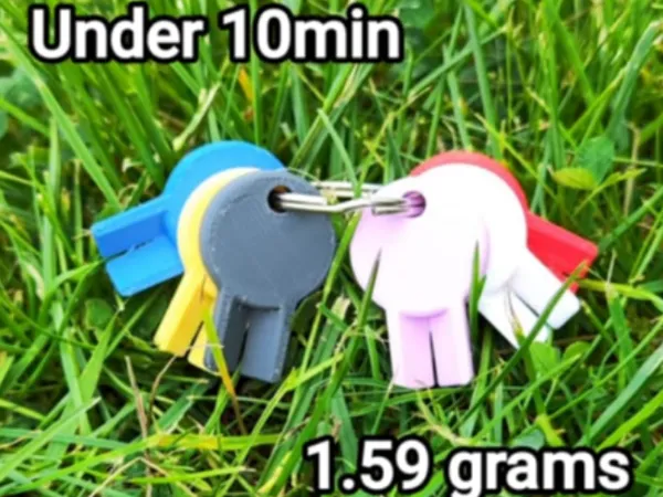 https://makerworld.bblmw.com/makerworld/model/USc173bfbfa05a37/design/2025-04-27_9b5b3b083b09c.jpg
