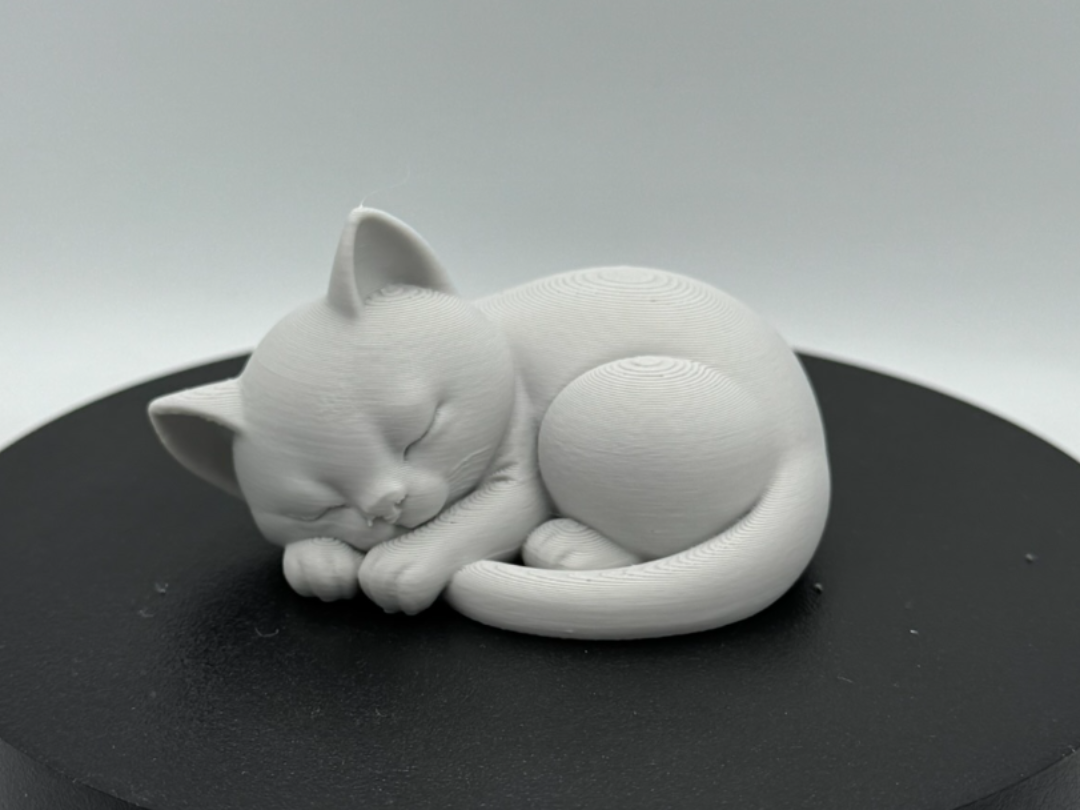 Sleeping Kitten – Peaceful Curled Pose