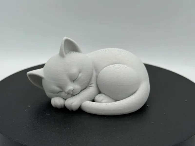 Sleeping Kitten – Peaceful Curled Pose