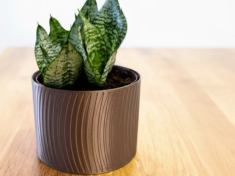 OxyPlanter System shallow pot