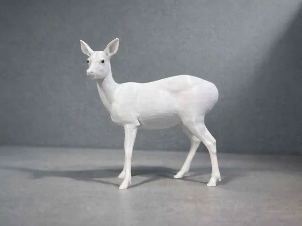 https://makerworld.bblmw.com/makerworld/model/USc176a7e5e1b856/design/2026-01-17_5e8eca6aa36538.png