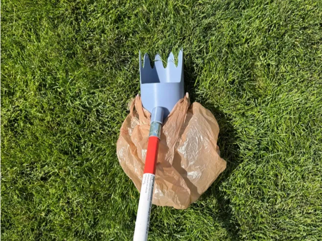 Dog Poop Scoop