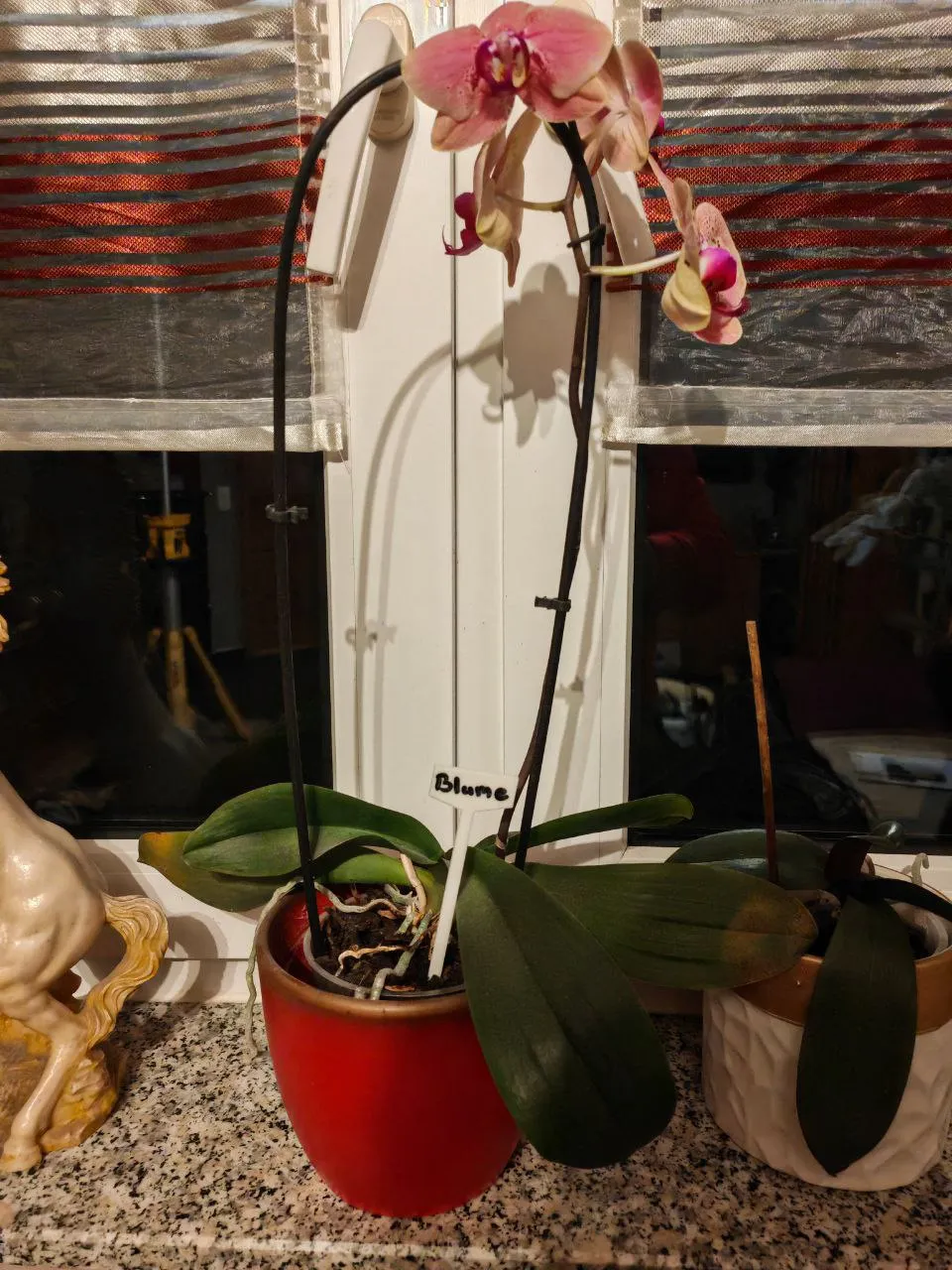 Plant Sign - Free 3D Print Model - MakerWorld