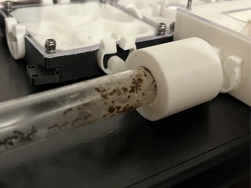 test tube adaptor for codehustler modular ant farm