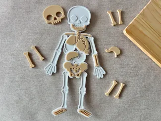 Human Body Jigsaw Puzzle for kids