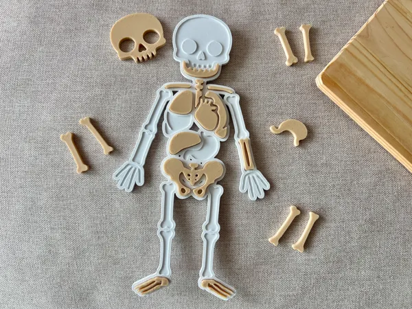 https://makerworld.bblmw.com/makerworld/model/USc17e1b961f208b/design/2025-11-11_bb60c60bce3fe8.jpg