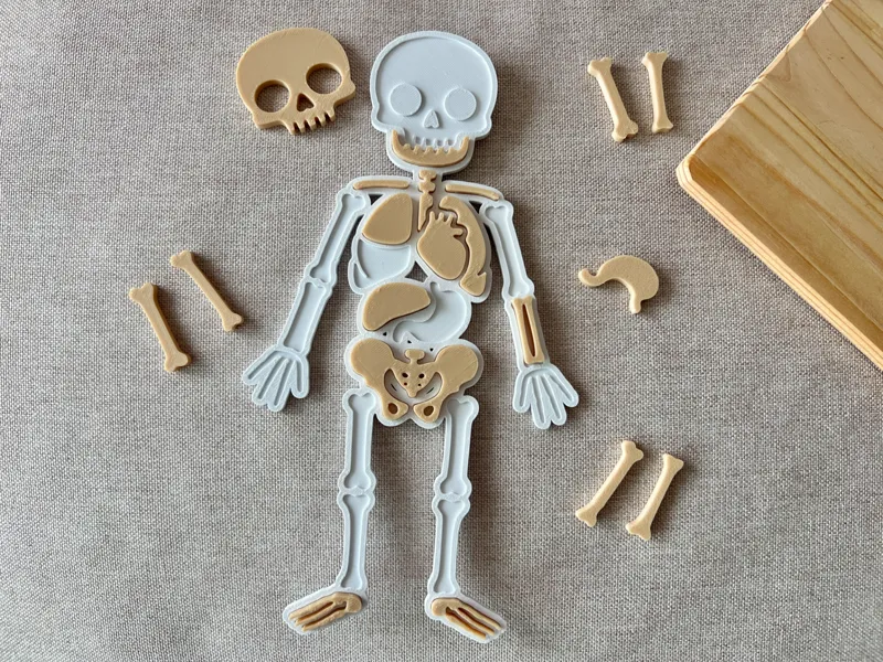 Human Body Jigsaw Puzzle for kids
