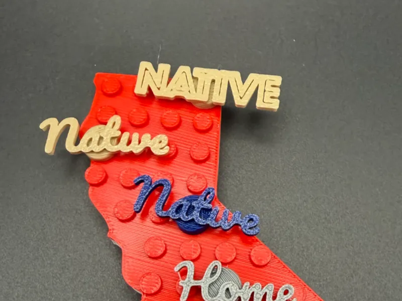 Native Brick Badge: Mark Your Home State