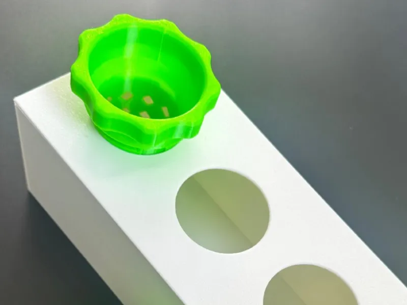hydroponic anzucht