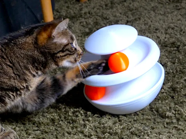 https://makerworld.bblmw.com/makerworld/model/USc1839fff3fc89e/design/e8e4443fb4a9fe00.png
