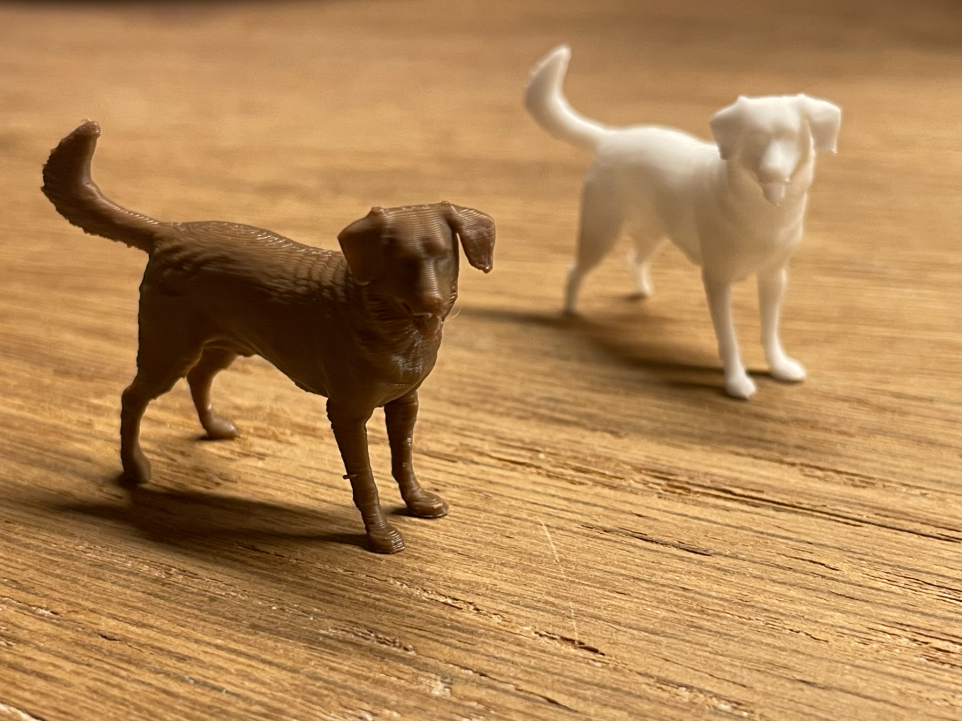 Kleiner Hund