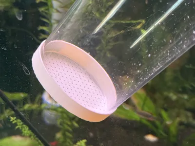 Python Water Change Cap for Shrimp