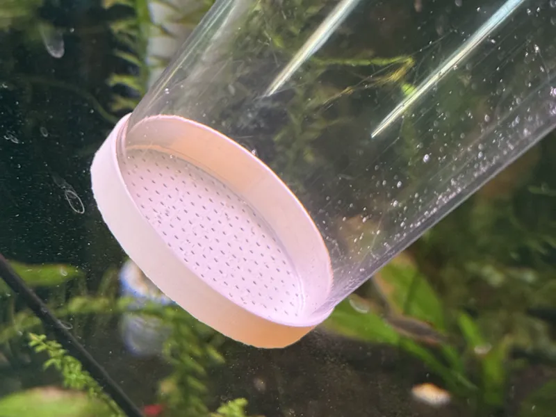 Python Water Change Cap for Shrimp