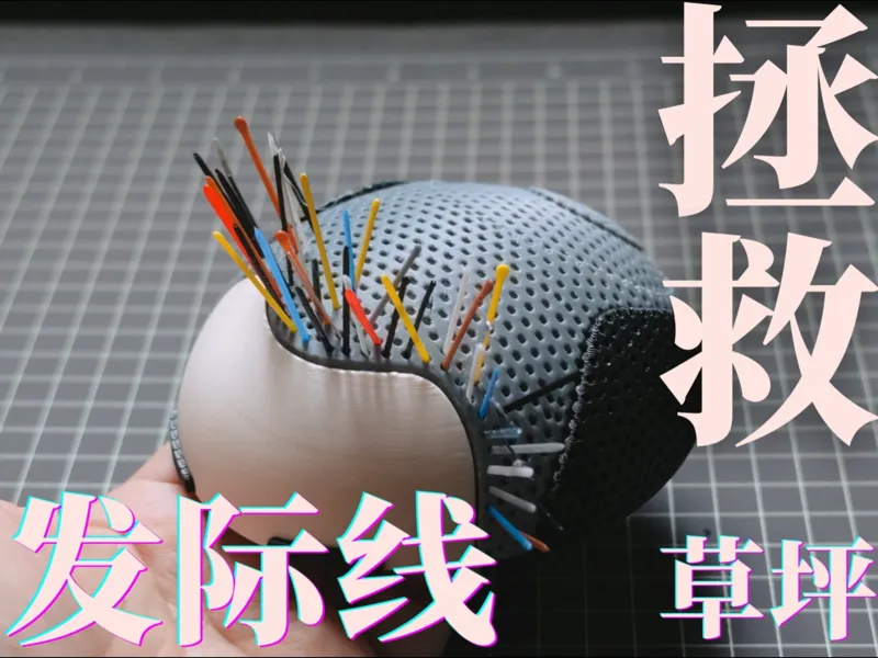拯救发际线草坪