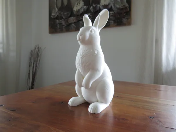 https://makerworld.bblmw.com/makerworld/model/USc1a0bef3ad6e22/design/912f77f830d88fbf.jpg