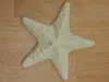 Sea Star