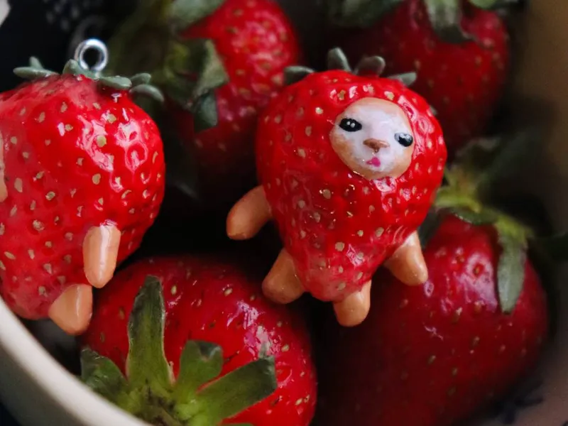 Strawberry Meme Cat