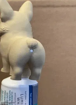 CORGI TOOTHPASTE CAP