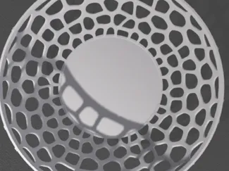 Stylish Friut Bowl