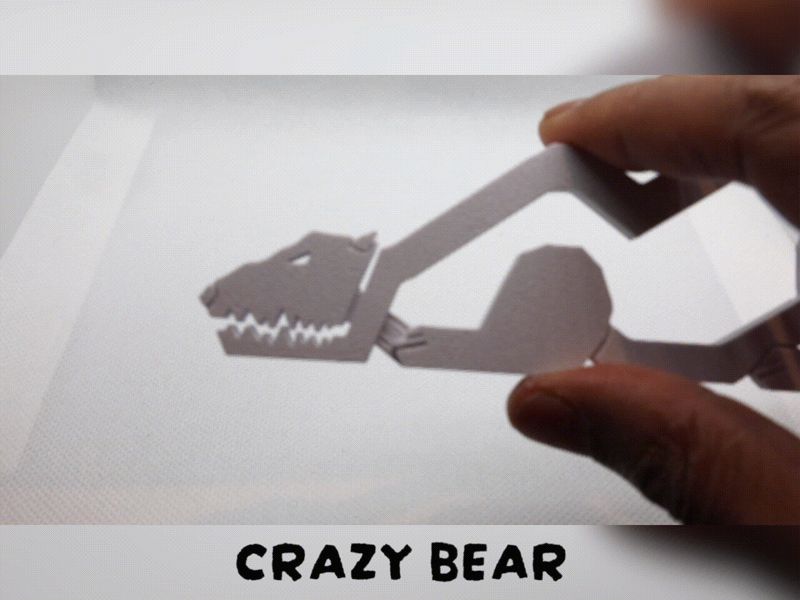 Crazy Bear Clip & Fidget Toy