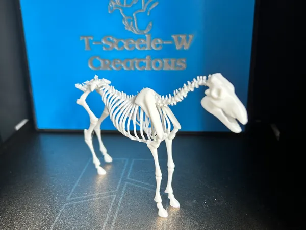 https://makerworld.bblmw.com/makerworld/model/USc1b6bdcce195ba/design/2025-04-19_74f1a43686d81.jpeg