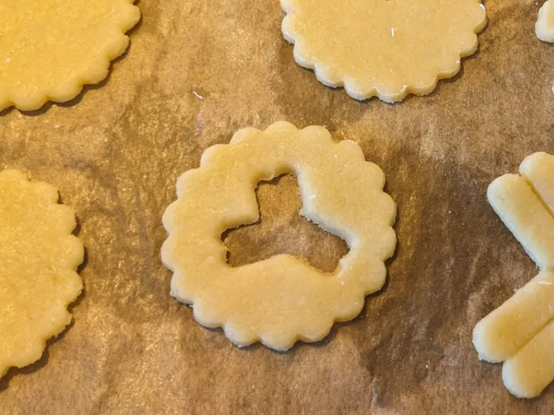 Small Antibody Cookie Cutter