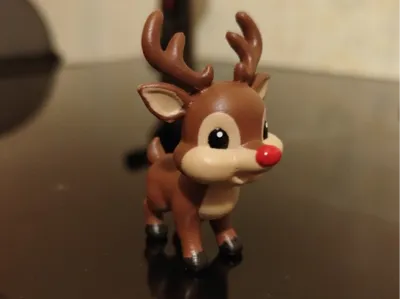 Cute little deer