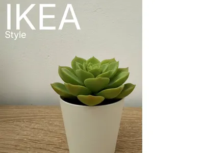 IKEA style Green Plant