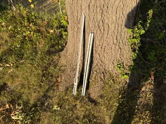 The Sword of Kusanagi (with scabbard and Display)