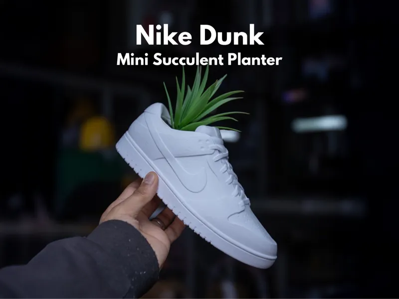 Sneaker Planters - Nike Dunk One Color