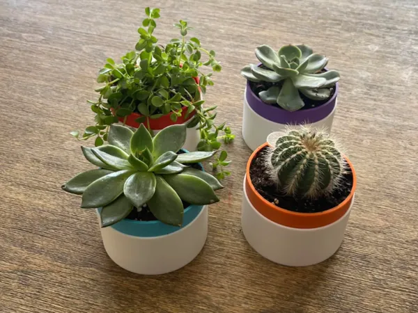 https://makerworld.bblmw.com/makerworld/model/USc1c5faa4ea249c/design/2025-04-09_969a51cd407ff.jpg