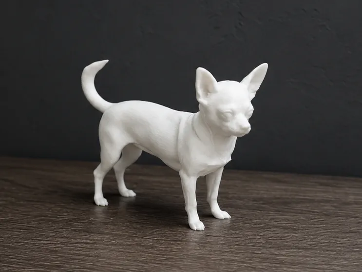 Chihuahua - Dog - Animal 