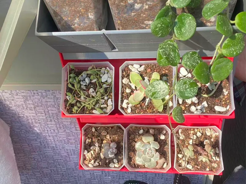 自灌溉植物墙组件（可自由拼接扩组）