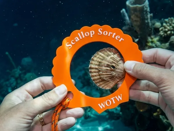 https://makerworld.bblmw.com/makerworld/model/USc1ce85f8edafad/design/b0e2906b758e3e72.png