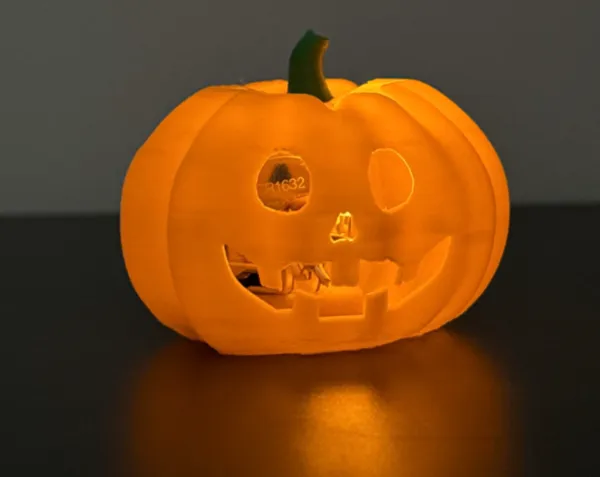 https://makerworld.bblmw.com/makerworld/model/USc1cff93e0c36e7/design/2024-10-22_a6eab8943558b.jpg