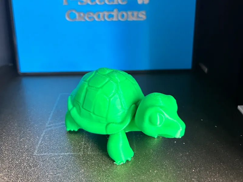 Cartoon Tortoise