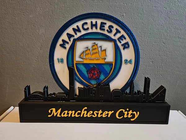https://makerworld.bblmw.com/makerworld/model/USc1dbec5b0c11f3/design/2024-11-26_2d0bb0623306a.jpg