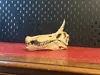 A1 Mini 0.2mm layer, 3 walls, 5% infill