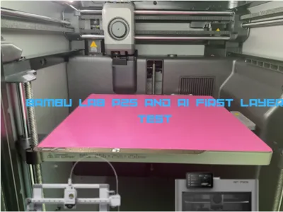 P2S & A1 First Layer Test - 256 x 256 mm