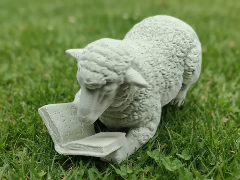 Reading animals: Sheep
