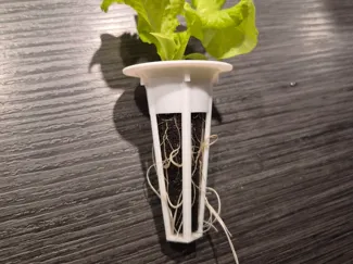 Hydroponic Basket