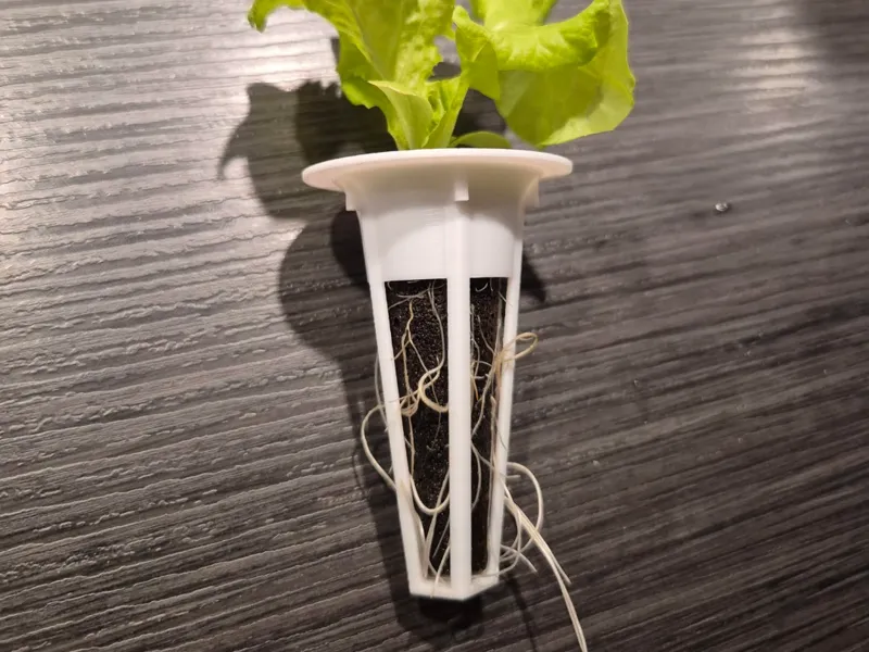 Hydroponic Basket