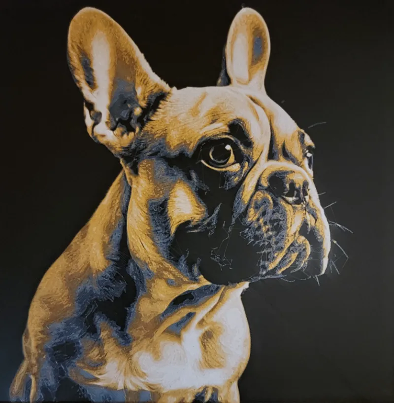 French Bulldog - Tan - Hueforge