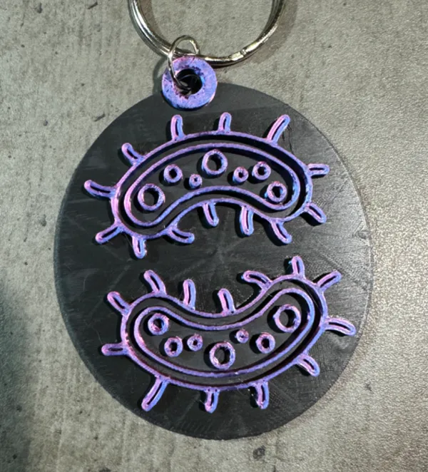 https://makerworld.bblmw.com/makerworld/model/USc1eb5e4e38106d/design/2024-07-31_1a05f00ccffab8.jpg