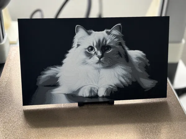 https://makerworld.bblmw.com/makerworld/model/USc1f31ea3789ef8/design/2024-10-17_ec0f92cafe17e.jpg