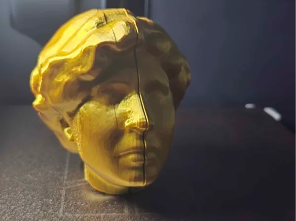 https://makerworld.bblmw.com/makerworld/model/USc1f3c6dc4f714c/design/2025-01-15_3c72b89b505c1.jpg