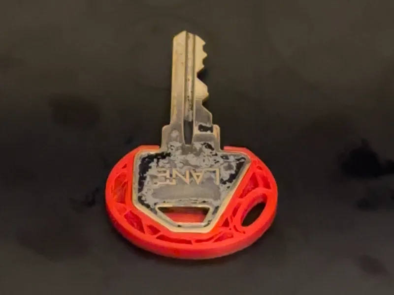 Lane C4 key cover / bow