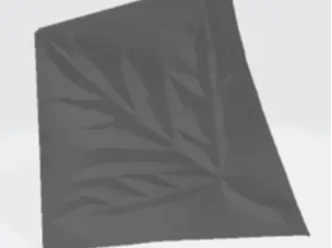 Maple leaf imprinte