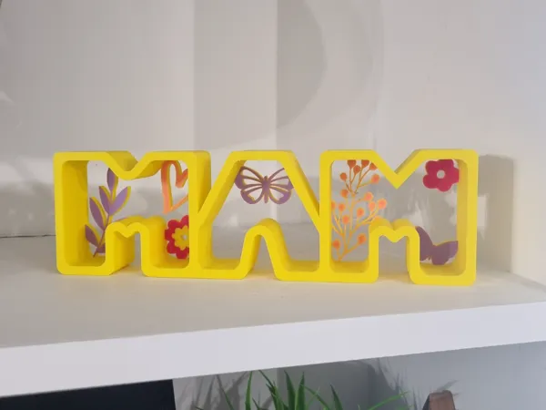https://makerworld.bblmw.com/makerworld/model/USc1f8a63094959e/design/2025-03-02_399925c626094.jpg