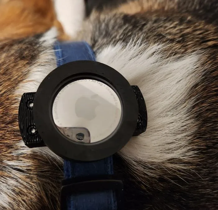 Support AirTag pour chien
